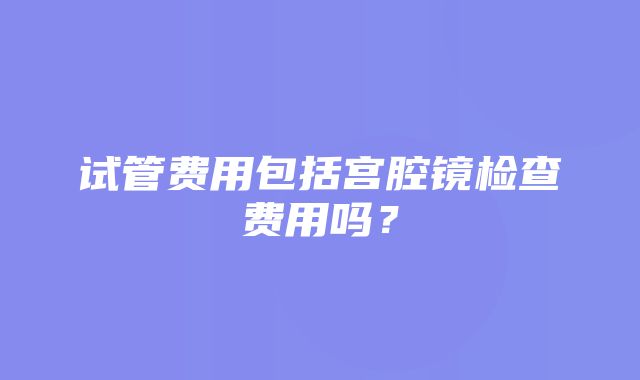 试管费用包括宫腔镜检查费用吗？