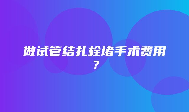 做试管结扎栓堵手术费用？