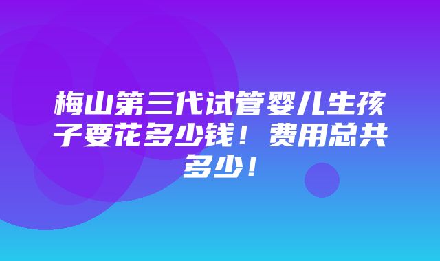 梅山第三代试管婴儿生孩子要花多少钱！费用总共多少！