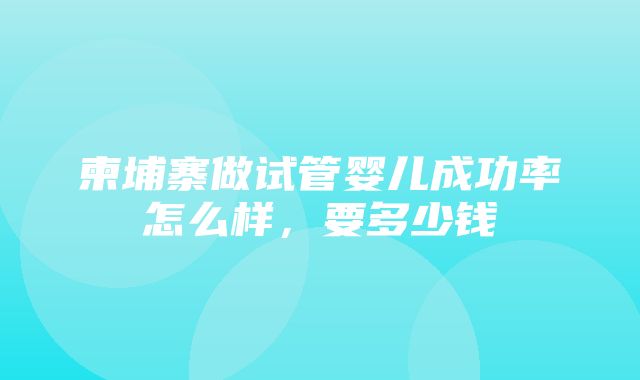 柬埔寨做试管婴儿成功率怎么样，要多少钱