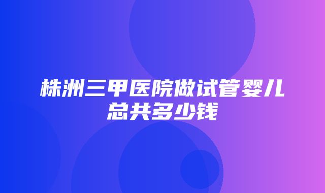 株洲三甲医院做试管婴儿总共多少钱