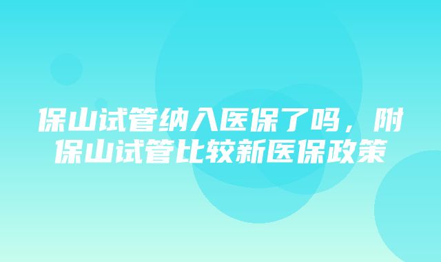 保山试管纳入医保了吗，附保山试管比较新医保政策