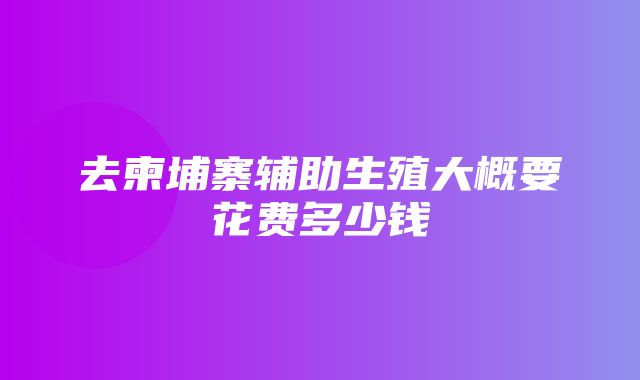 去柬埔寨辅助生殖大概要花费多少钱