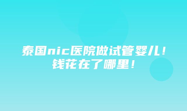 泰国nic医院做试管婴儿！钱花在了哪里！