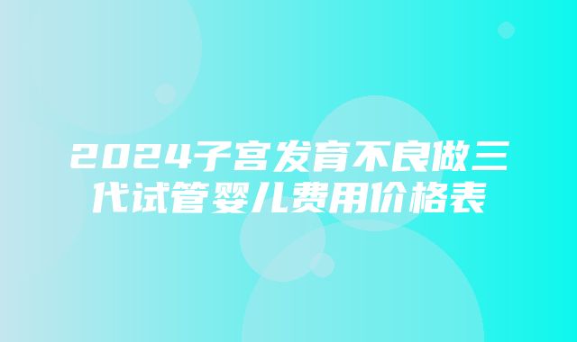 2024子宫发育不良做三代试管婴儿费用价格表