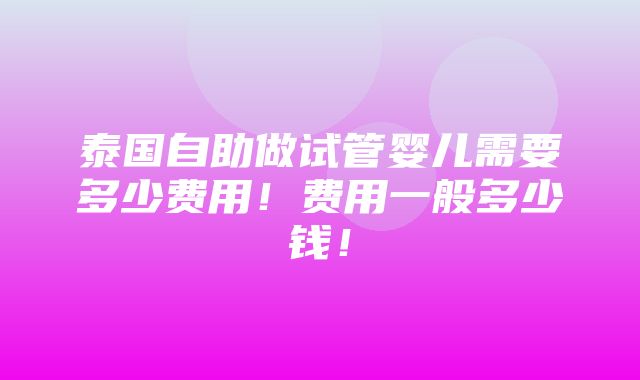 泰国自助做试管婴儿需要多少费用！费用一般多少钱！