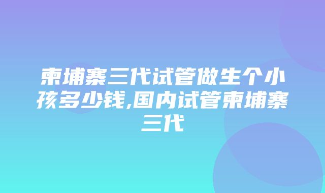 柬埔寨三代试管做生个小孩多少钱,国内试管柬埔寨三代