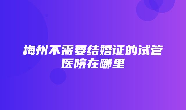 梅州不需要结婚证的试管医院在哪里