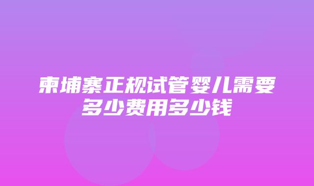 柬埔寨正规试管婴儿需要多少费用多少钱