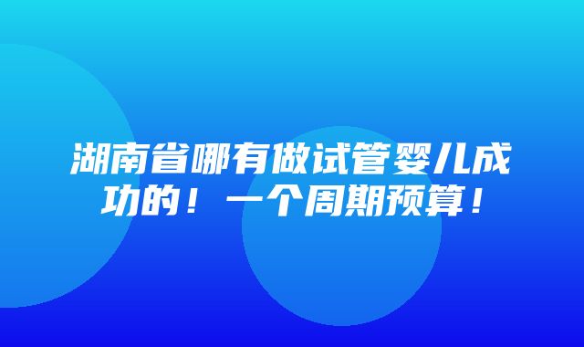 湖南省哪有做试管婴儿成功的！一个周期预算！