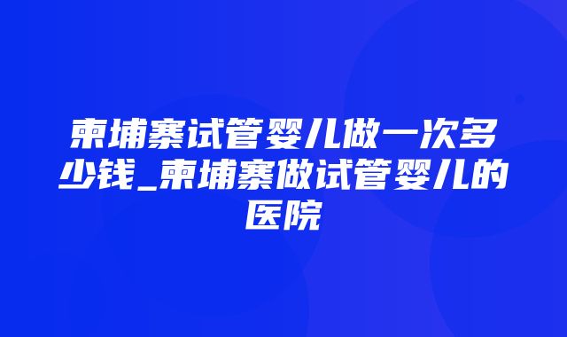 柬埔寨试管婴儿做一次多少钱_柬埔寨做试管婴儿的医院