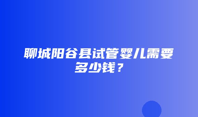 聊城阳谷县试管婴儿需要多少钱？