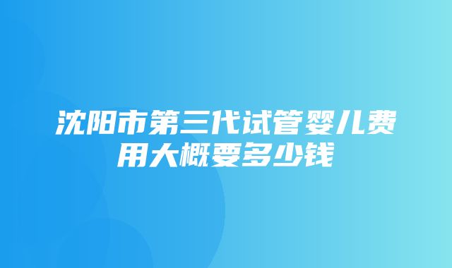 沈阳市第三代试管婴儿费用大概要多少钱