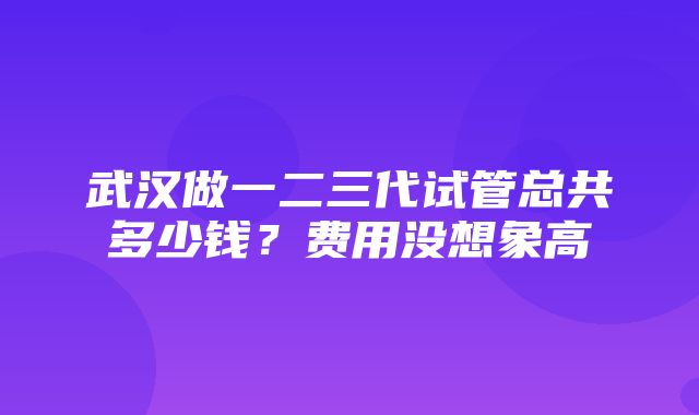 武汉做一二三代试管总共多少钱？费用没想象高