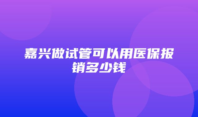 嘉兴做试管可以用医保报销多少钱