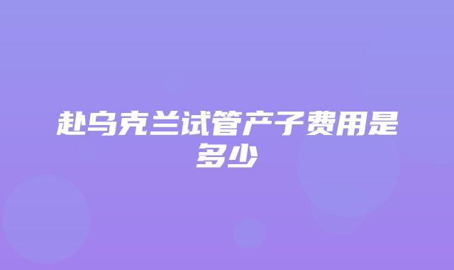 赴乌克兰试管产子费用是多少