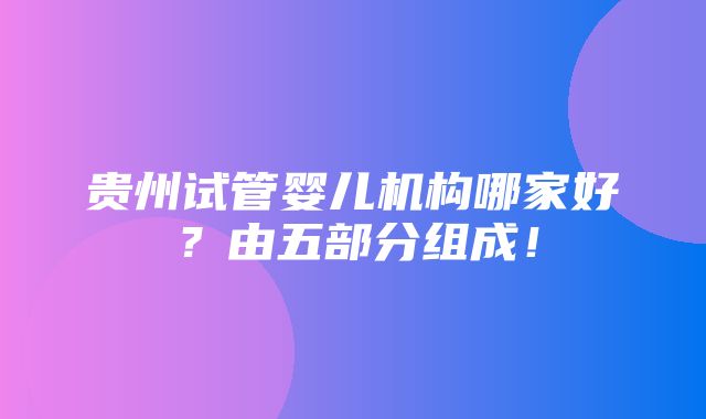 贵州试管婴儿机构哪家好？由五部分组成！