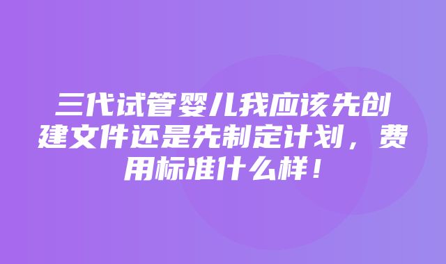 三代试管婴儿我应该先创建文件还是先制定计划，费用标准什么样！