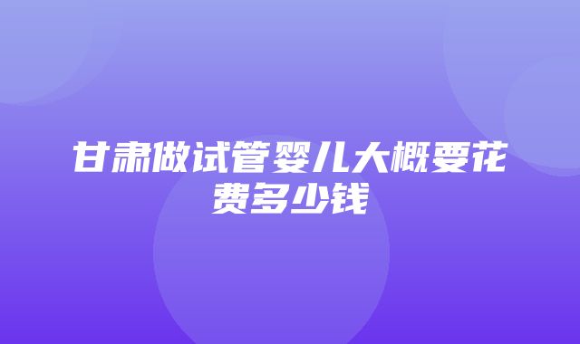 甘肃做试管婴儿大概要花费多少钱