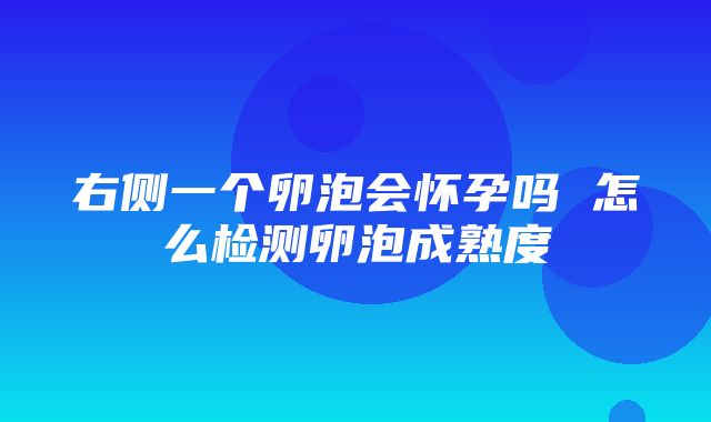 右侧一个卵泡会怀孕吗 怎么检测卵泡成熟度