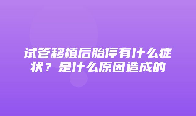 试管移植后胎停有什么症状？是什么原因造成的