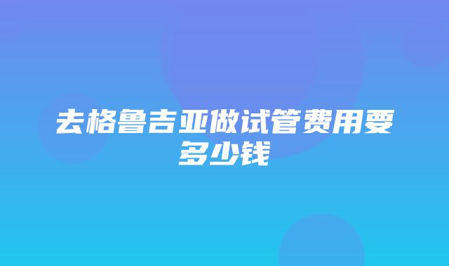 去格鲁吉亚做试管费用要多少钱