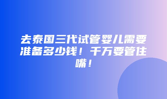 去泰国三代试管婴儿需要准备多少钱！千万要管住嘴！