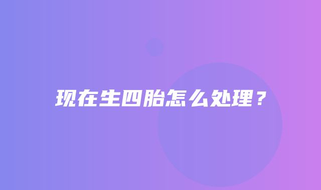 现在生四胎怎么处理？