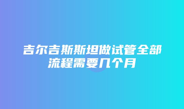 吉尔吉斯斯坦做试管全部流程需要几个月