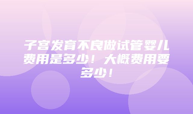 子宫发育不良做试管婴儿费用是多少！大概费用要多少！