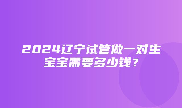 2024辽宁试管做一对生宝宝需要多少钱？