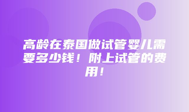 高龄在泰国做试管婴儿需要多少钱！附上试管的费用！