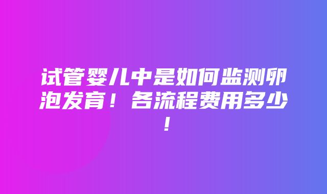 试管婴儿中是如何监测卵泡发育！各流程费用多少！