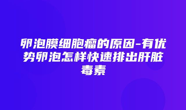 卵泡膜细胞瘤的原因-有优势卵泡怎样快速排出肝脏毒素