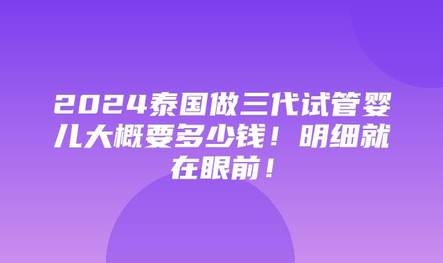 2024泰国做三代试管婴儿大概要多少钱！明细就在眼前！