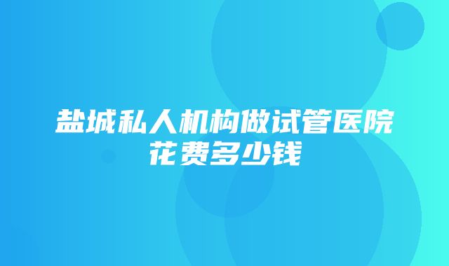 盐城私人机构做试管医院花费多少钱