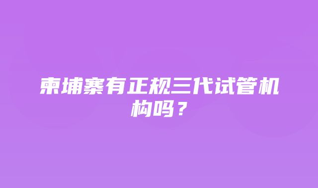 柬埔寨有正规三代试管机构吗？