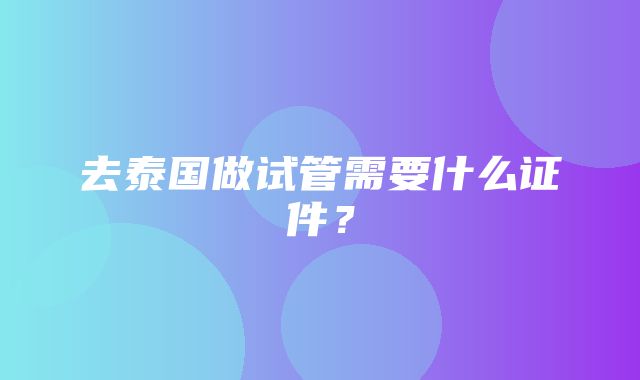 去泰国做试管需要什么证件？