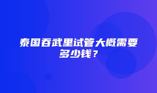 泰国吞武里试管大概需要多少钱？