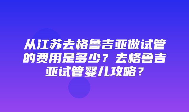 从江苏去格鲁吉亚做试管的费用是多少？去格鲁吉亚试管婴儿攻略？