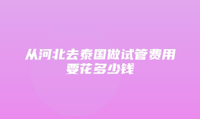 从河北去泰国做试管费用要花多少钱