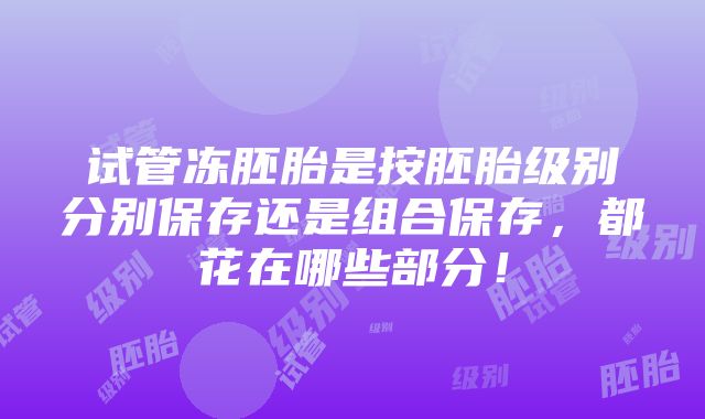 试管冻胚胎是按胚胎级别分别保存还是组合保存，都花在哪些部分！