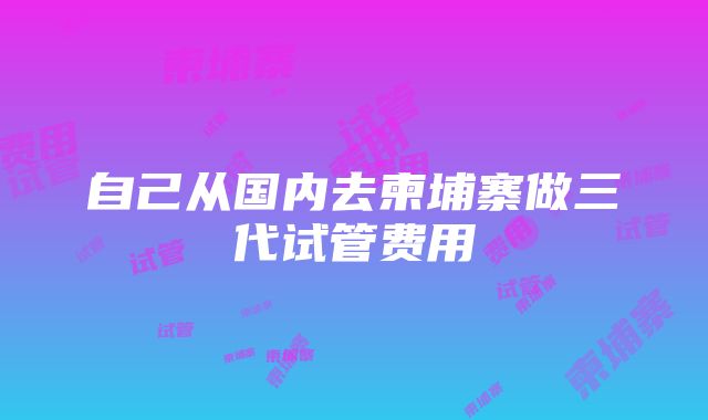 自己从国内去柬埔寨做三代试管费用