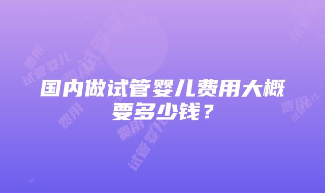 国内做试管婴儿费用大概要多少钱？