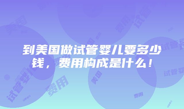 到美国做试管婴儿要多少钱，费用构成是什么！