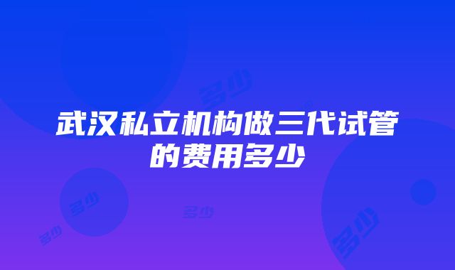 武汉私立机构做三代试管的费用多少