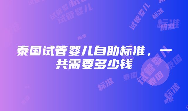 泰国试管婴儿自助标准，一共需要多少钱