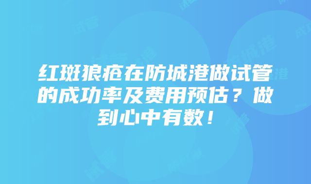 红斑狼疮在防城港做试管的成功率及费用预估？做到心中有数！