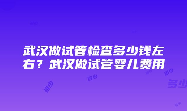 武汉做试管检查多少钱左右？武汉做试管婴儿费用