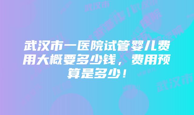 武汉市一医院试管婴儿费用大概要多少钱，费用预算是多少！